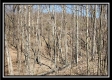 Tract 7 - The Views at Siverly Ridge property photo