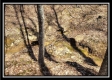 More of Tract 7 - The Views at Siverly Ridge