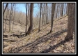 More of Tract 7 - The Views at Siverly Ridge