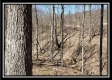 Tract 7 - The Views at Siverly Ridge property photo