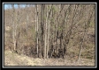 Tract 7 - The Views at Siverly Ridge property photo