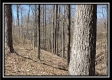 Tract 7 - The Views at Siverly Ridge property photo