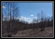 Tract 24 - The Views at Siverly Ridge property photo