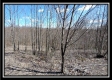Tract 24 - The Views at Siverly Ridge property photo