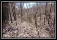 Tract 24 - The Views at Siverly Ridge property photo