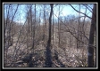 Tract 24 - The Views at Siverly Ridge property photo