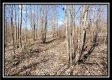 Tract 24 - The Views at Siverly Ridge property photo
