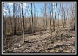 Tract 24 - The Views at Siverly Ridge property photo