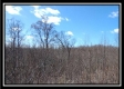 Tract 24 - The Views at Siverly Ridge property photo