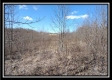 Tract 24 - The Views at Siverly Ridge property photo