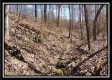 More of Tract 24 - The Views at Siverly Ridge