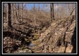 Tract 24 - The Views at Siverly Ridge property photo