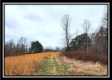 Tract 5 - Scenic Meadows property photo