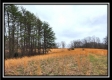 Tract 5 - Scenic Meadows property photo
