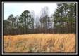 Tract 5 - Scenic Meadows property photo