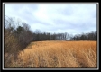Tract 5 - Scenic Meadows property photo