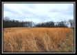 Tract 5 - Scenic Meadows property photo