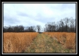Tract 5 - Scenic Meadows property photo