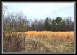 Tract 5 - Scenic Meadows property photo