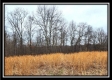 Tract 5 - Scenic Meadows property photo