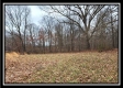 Tract 5 - Scenic Meadows property photo