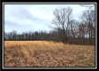 Tract 5 - Scenic Meadows property photo
