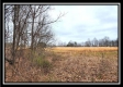 Tract 5 - Scenic Meadows property photo