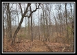 Tract 5 - Scenic Meadows property photo