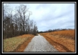 More of Tract 5 - Scenic Meadows