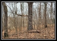Tract 5 - Scenic Meadows property photo