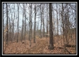 Tract 5 - Scenic Meadows property photo