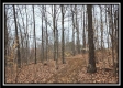 Tract 5 - Scenic Meadows property photo