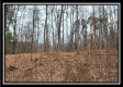 Tract 5 - Scenic Meadows property photo
