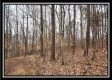 Tract 5 - Scenic Meadows property photo