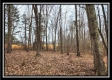 Tract 5 - Scenic Meadows property photo