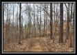 Tract 5 - Scenic Meadows property photo