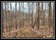 Tract 5 - Scenic Meadows property photo
