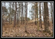 Tract 5 - Scenic Meadows property photo