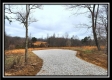 More of Tract 5 - Scenic Meadows