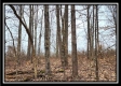 Tract 5 - Scenic Meadows property photo