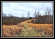 Tract 5 - Scenic Meadows property photo