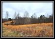 Tract 5 - Scenic Meadows property photo