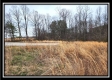 Tract 5 - Scenic Meadows property photo