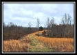 Tract 5 - Scenic Meadows property photo