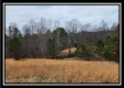 Tract 4 – Scenic Meadows property photo
