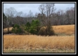 Tract 4 – Scenic Meadows property photo