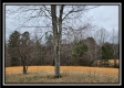 Tract 4 – Scenic Meadows property photo
