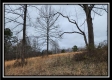 Tract 4 – Scenic Meadows property photo