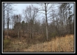 Tract 4 – Scenic Meadows property photo