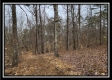 Tract 4 – Scenic Meadows property photo